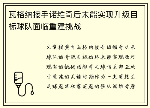 瓦格纳接手诺维奇后未能实现升级目标球队面临重建挑战